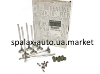 Клапан Renault Master 2.2/2.5 dTi/dCi 00- (29.5x6x123) ВИП (8шт) RENAULT 7701472670