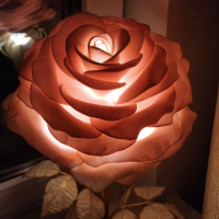 Світильник-нічник «Рожеве золото»