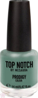 Лак Top Notch Prodigy Nail Color by Mesauda 14 мл 283 Baobab