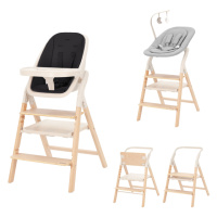 Стілець для годування CARRELLO Ergo CRL-16701 Obsidian Black /1/ MOQ