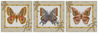 Модульная картина Африканские бабочки