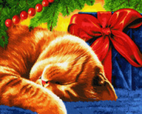 Картина за номерами «Сонливий кіт» 40х50см