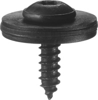 Саморезы Под звездообразную отвёртку, TORX - Renault Modus