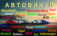 Термінове скуповування машин по всіх регіонах України з безкоштовним виїздом оцінювача