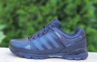 Чоловічі кросівки Adidas Terrex (41-46)