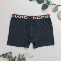 Трусы мужские боксеры RockHard Турция M, L, XL, 2XL