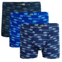 Труси чоловічі боксери бамбук IN.VASALL норма (1005) р.XL, 2XL, 3XL, 4XL, Китай