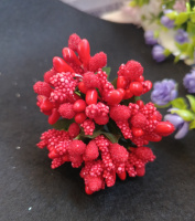 Тычинки «незабудка» на проволоке с листиками. Цена за букетик. Цвет - красный. Высота 8 см