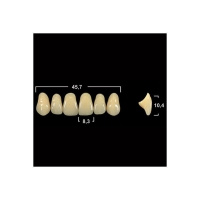 Акриловые зубы Tribos 501, фронт, верх - Т76 А2