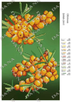 Схема для вышивки бисером Облепиха