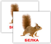 Дикие животные/Wild animals МИНИ 40. Карточки Домана