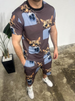 Коричневий чоловічий легкий літній спортивний костюм-двійка | 42-5/678