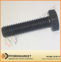 Болт кріплення плити Актрос М10х1,5х50 мм