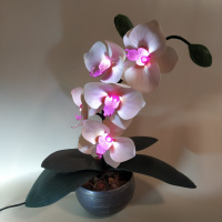 Світильник-нічник «Орхідея Натхнення»