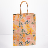 Набор подарочных крафтовых пакетов из бумаги 12 (шт) красивые пакеты для подарков 15×8×21 (см) HP-10359-6Y