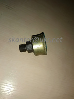 Ковпачкові маслянки 12,5