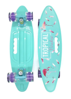 Пенни борд «Penny Cruiser» с ручкой Бирюзовый