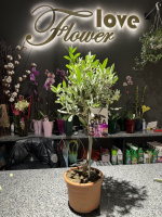 Квіти на Подолі в Києві, купити, замовити, доставка від ⭐ Flower Love ⭐