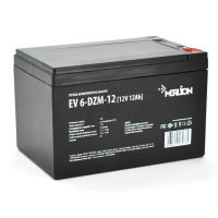 Тяговая аккумуляторная батарея Merlion EV 6-DZM-12, 12V 12Ah M5 (151*98*95 (100)),4.0 kg Q3
