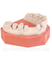 Гіпс INTERBASE FLOW (Інтербас Флоу) (тип 3) теракотовий 4 кг, INTERDENT 880