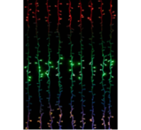 Гірлянда штора водоспад, прозорий шнур, 2*2 м, 200 LED, мульти, з перехідником