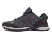 Чоловічі кросівки Adidas Terrex Climaproof (41-46)