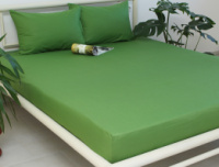 Простирадло на гумці (160х200х20) Cactus