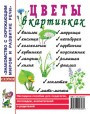 Цветы в картинках. Наглядное пособие для педагогов, воспитателей, логопедов, родителей.