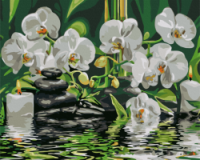 Картина за номерами «Спокій орхідей» 40х50см
