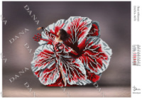 Схема під вишивку Леді гібіскус