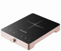 Плита индукционная электрическая настольная Hausberg HB-1526RZ 2000 Вт золотистая