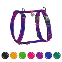 Шлея для собак анатомічна H-подібна WAUDOG Nylon Mono з QR-паспортом, світловідбивна, пластиковий фастекс, розмір L, Ш 25 мм, А 51-85 см, В 60-85...