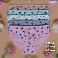 Труси дитячі сліпи для дівчинки Nicoletta вік:  4-5 років 5 шт.