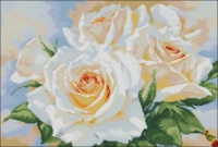 Схема для вышивки Белые розы