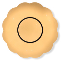 Светодиодный потолочный светильник SVLIGHT LED C6027-36W*2 3000 и 6000K