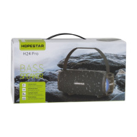 Колонка Hopestar H24pro