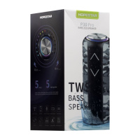 Колонка Hopestar P30 Pro