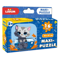 Детский пазл «Котик 1» Maxi-Puzzle ME5032-02, 16 элементов 23х21 см