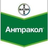 Антракол