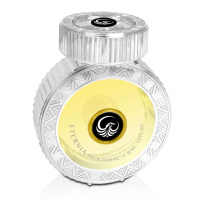 Мужская туалетная вода Le Falcone Eternia For Men 95 мл