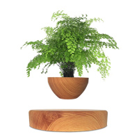 Магнітний левітаційний горщик для рослин HCNT Magnetic Levitating Pot M10-PS Wood Grain (SIM10-PS)