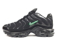 Жіночі кросівки Nike Air Max TN Plus (37-41)