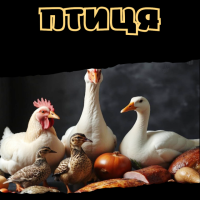 Птиця