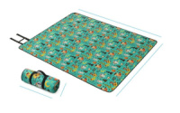 Килимок для пікніка Naturehike C042 200х180 cм NH19D024-Z Green