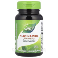 Ніацинамід, 500 мг, Niacinamide, Nature's Way, 100 капсул
