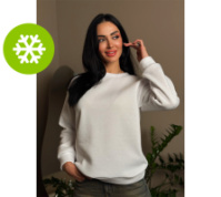 Базовий однотонний світшот «Stand» оптом | Норма і батал