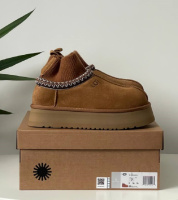 Зимові жіночі уггі Ugg Tasman Platform Sock (36-41)