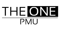 Пигменты для перманентного макияжа THE ONE PMU