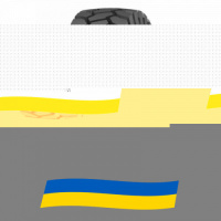 18 R25 Белшина Бел-183 185B Индустриальная шина