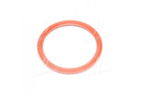 Сальник 130х155 маточини задньої МАЗ червоний (500А-3104038)